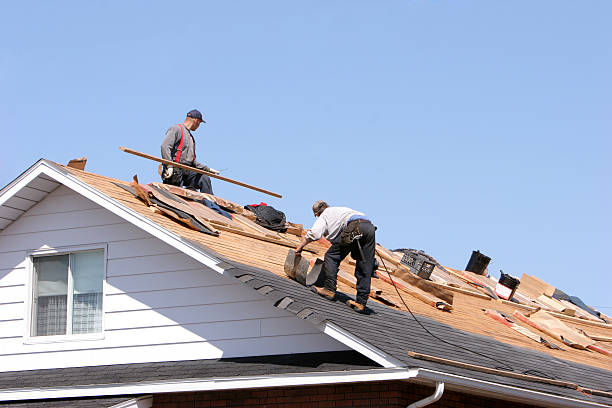 Best Roof Maintenance and Cleaning  in West Miami, FL